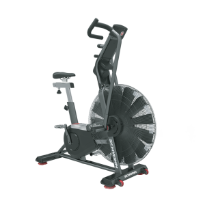 SCHWINN AIR DYNE AD8