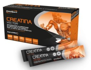 CREATINA VECTOR - 20 buste da 8gr - ETHIC SPORT