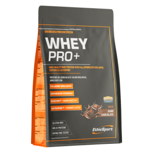 WHEY PRO + busta 700gr - ETHIC SPORT